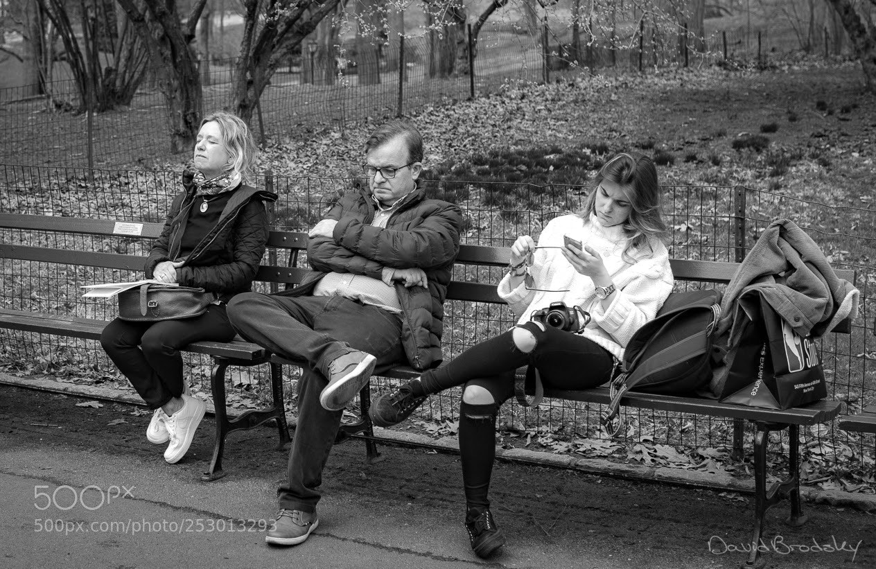 Sony a6500 sample photo. Central park photography