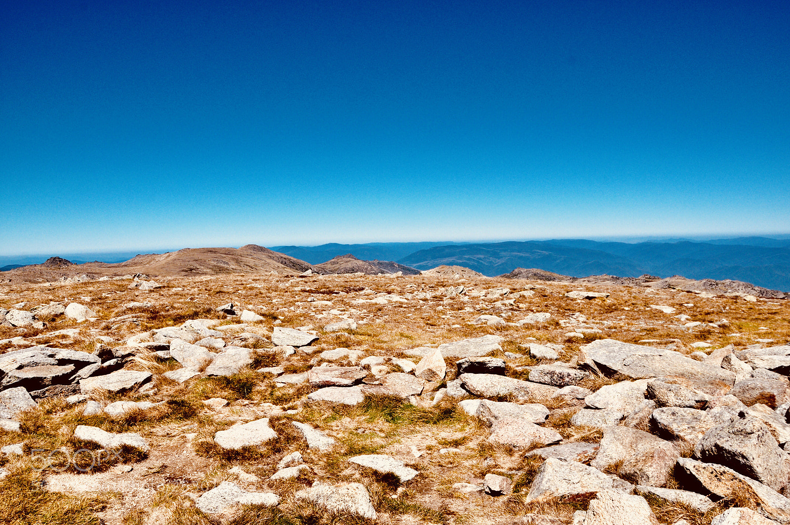 Nikon D90 sample photo. The top of mt photography