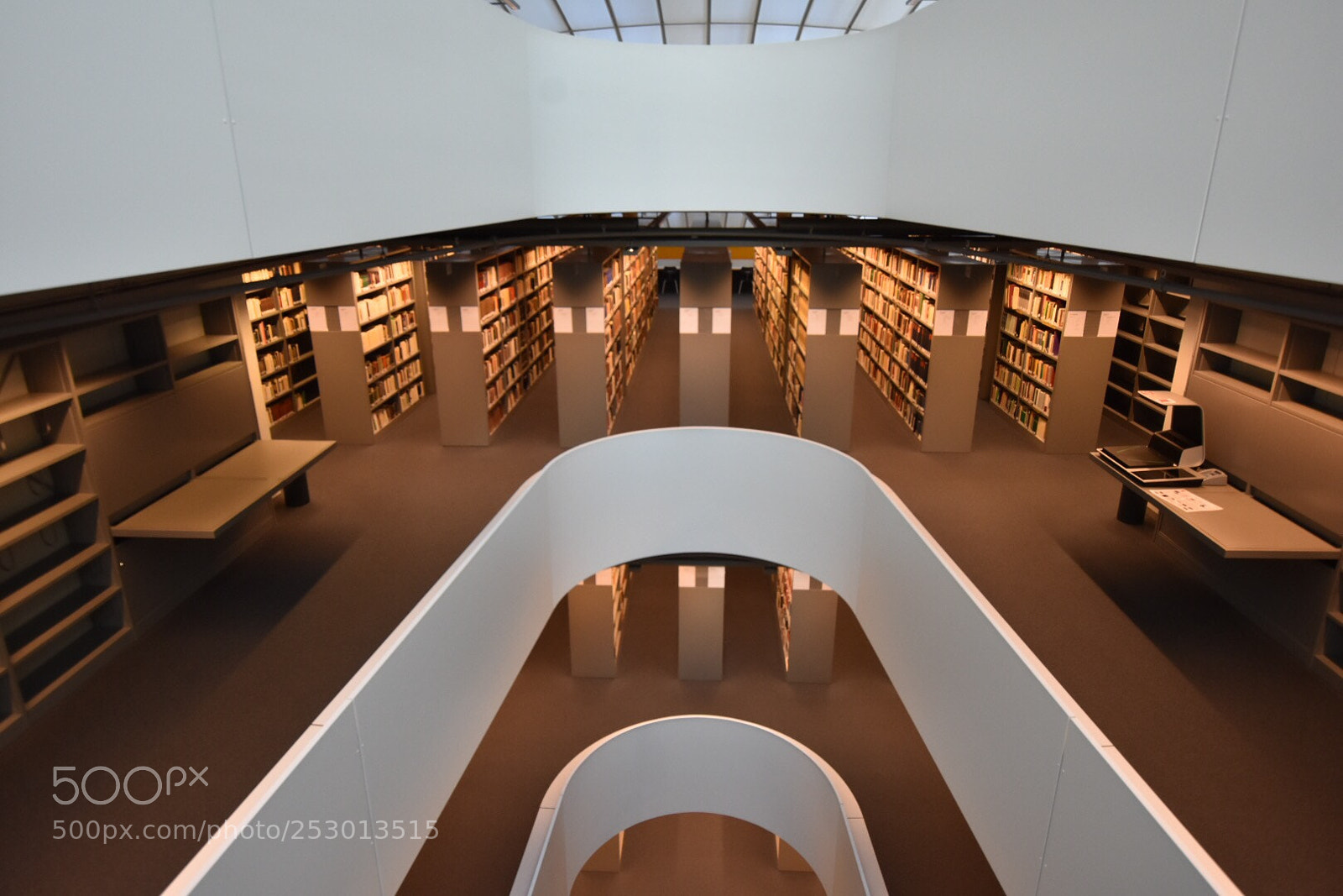 Nikon D7200 sample photo. The library  photography