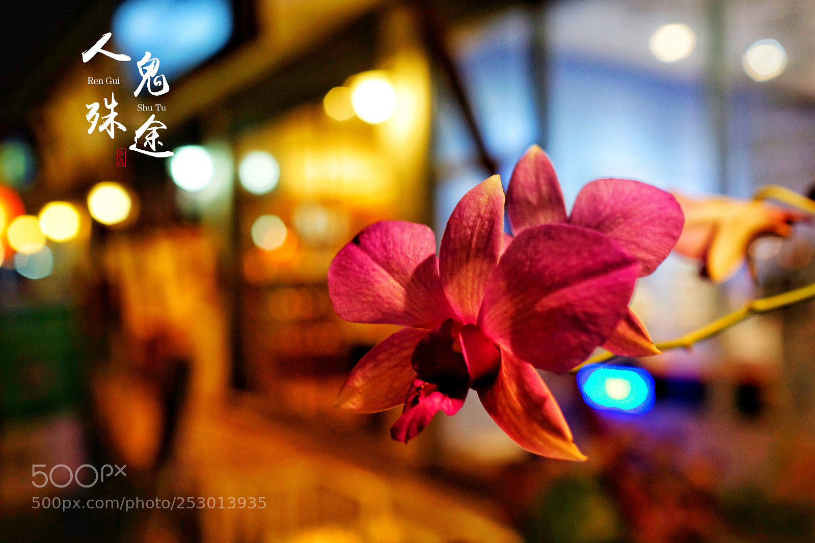 Sony Alpha NEX-7 sample photo. Untitled photography