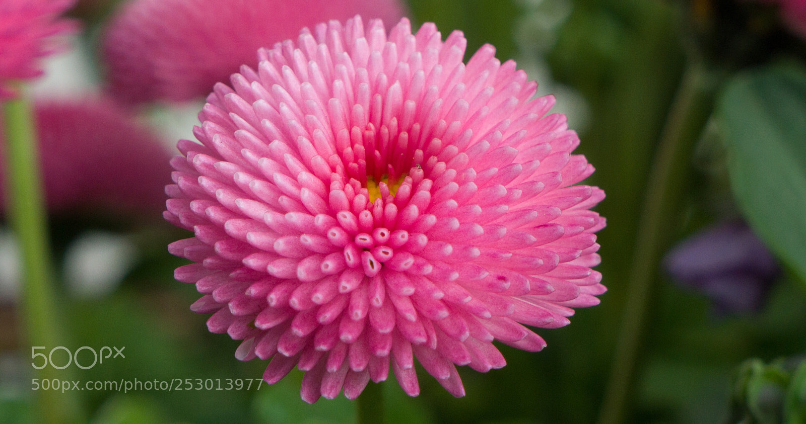 Sony Alpha NEX-7 sample photo. Untitled photography
