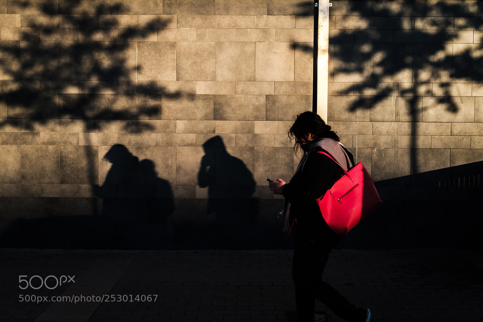 Fujifilm X-Pro2 sample photo. Crimson photography