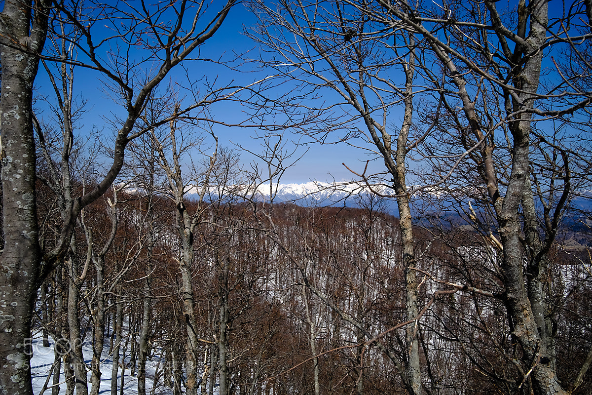 Fujifilm X-T10 sample photo. Snowy spring photography