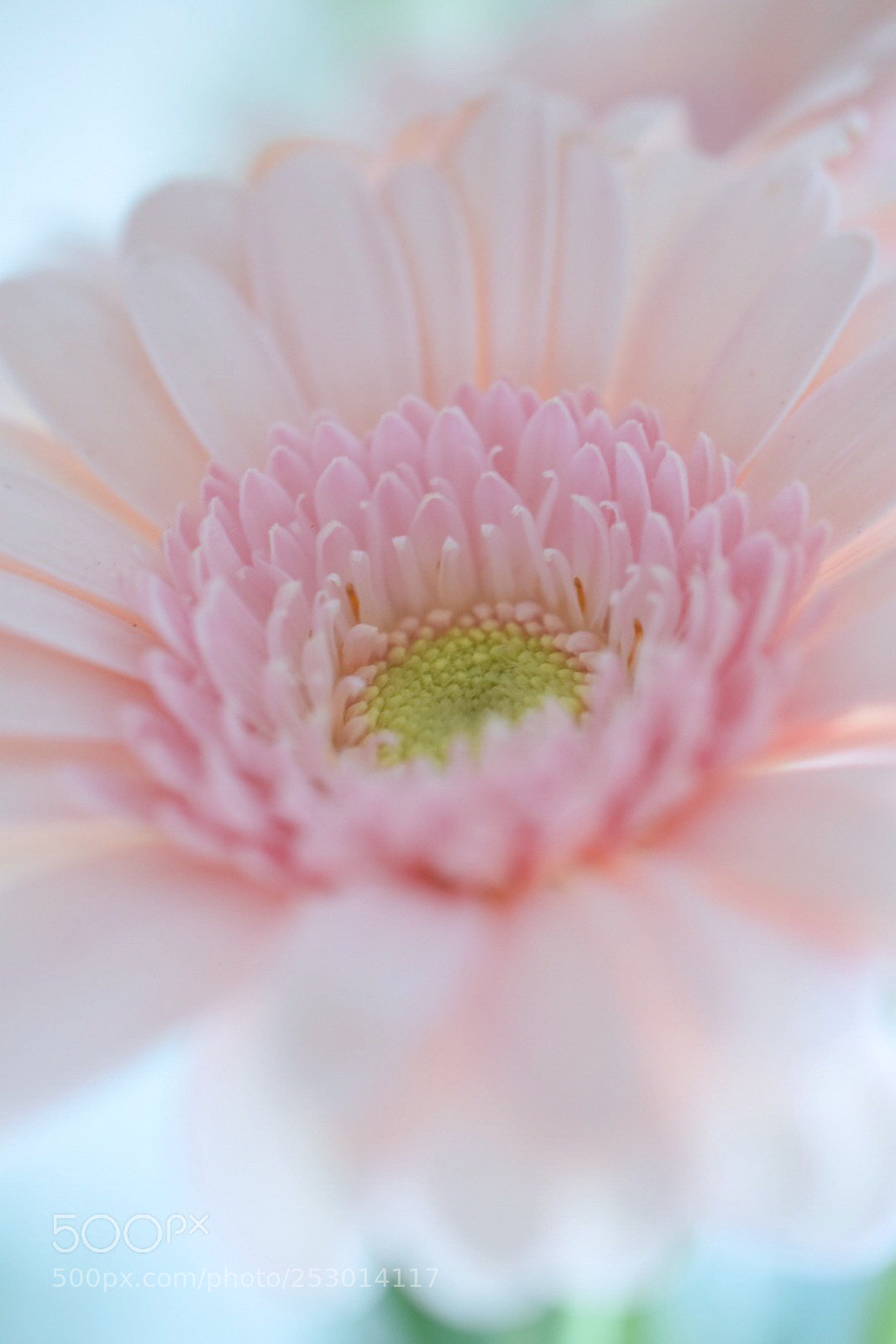 Nikon D5300 sample photo. One of my favorite photography