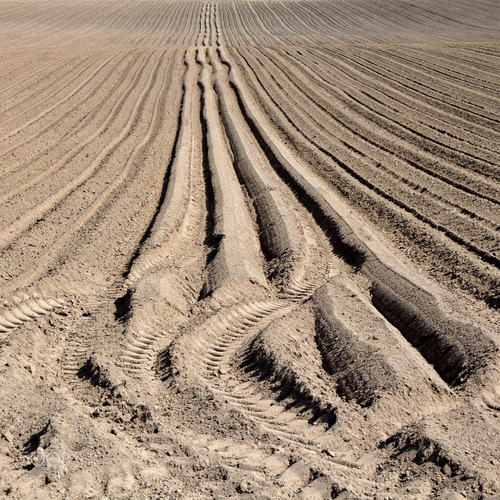 Canon EF-S 17-55mm F2.8 IS USM sample photo. Lines in a field photography