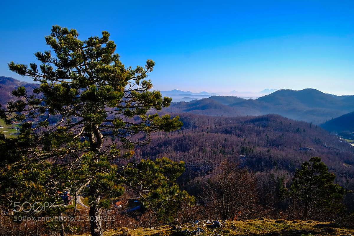 Fujifilm X-T10 sample photo. Spring photography