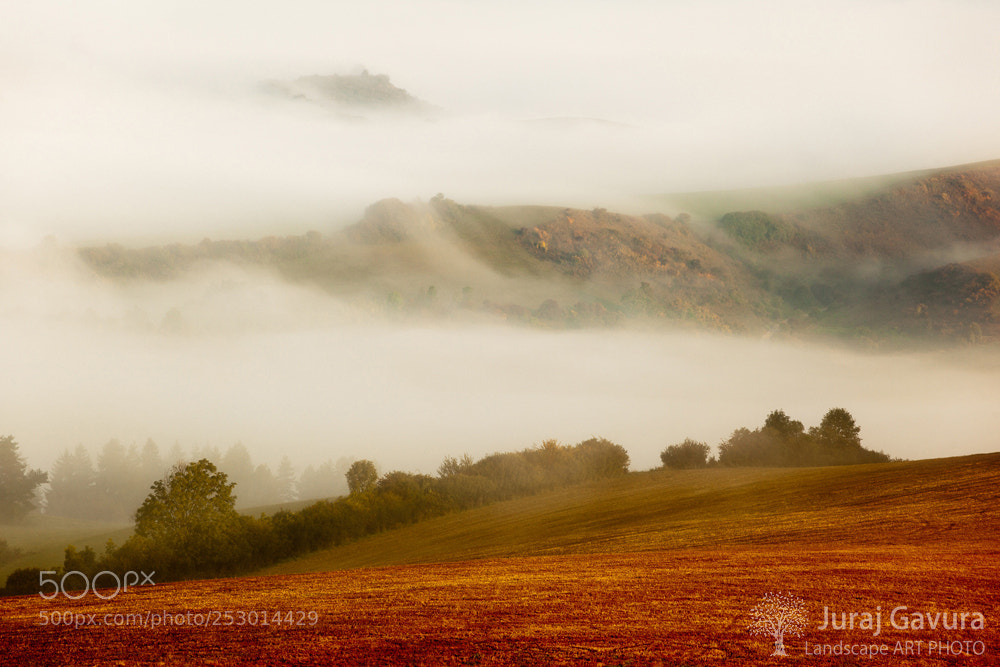 Canon EOS 5D Mark II sample photo. Mystery of landscape photography