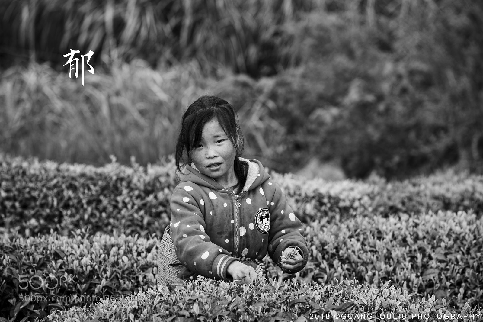 Canon EOS 5D Mark IV sample photo. 郁 photography