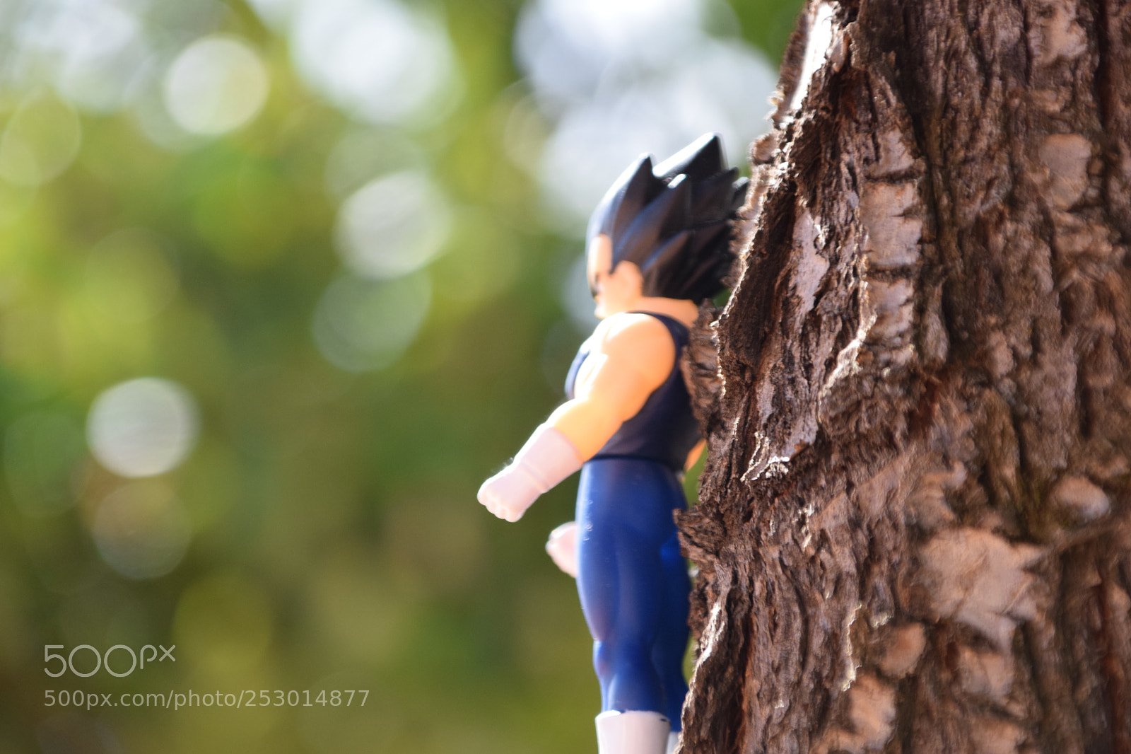 Nikon D3300 sample photo. Anime photography