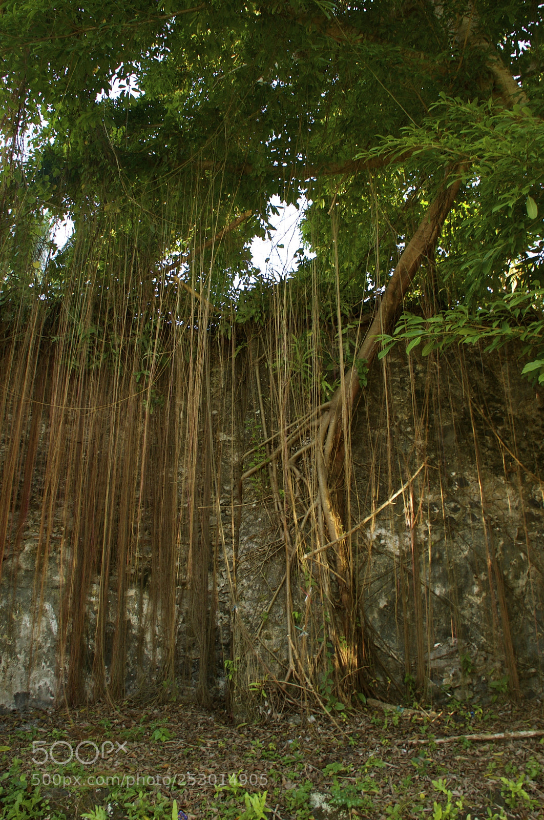 Nikon D3 sample photo. Conjugated through time photography
