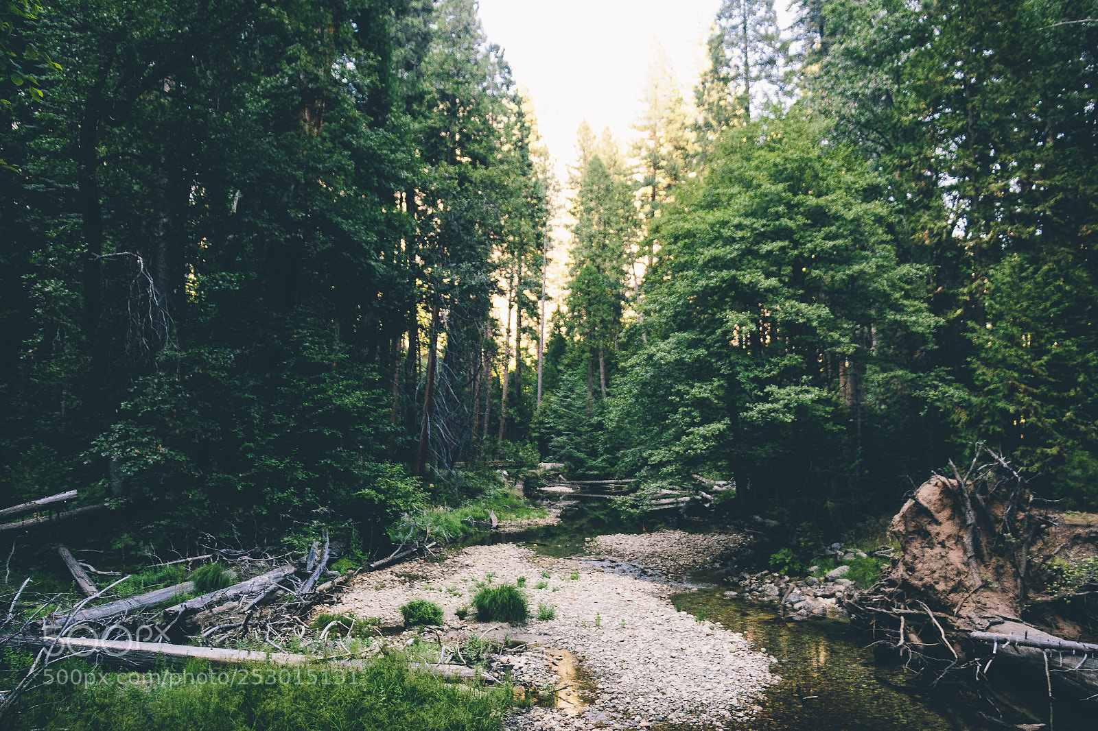 Canon EOS 70D sample photo. Yosemite photography