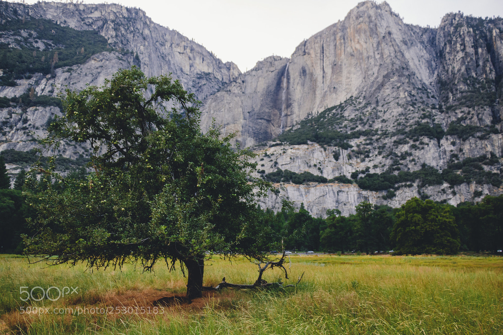 Canon EOS 70D sample photo. Yosemite photography