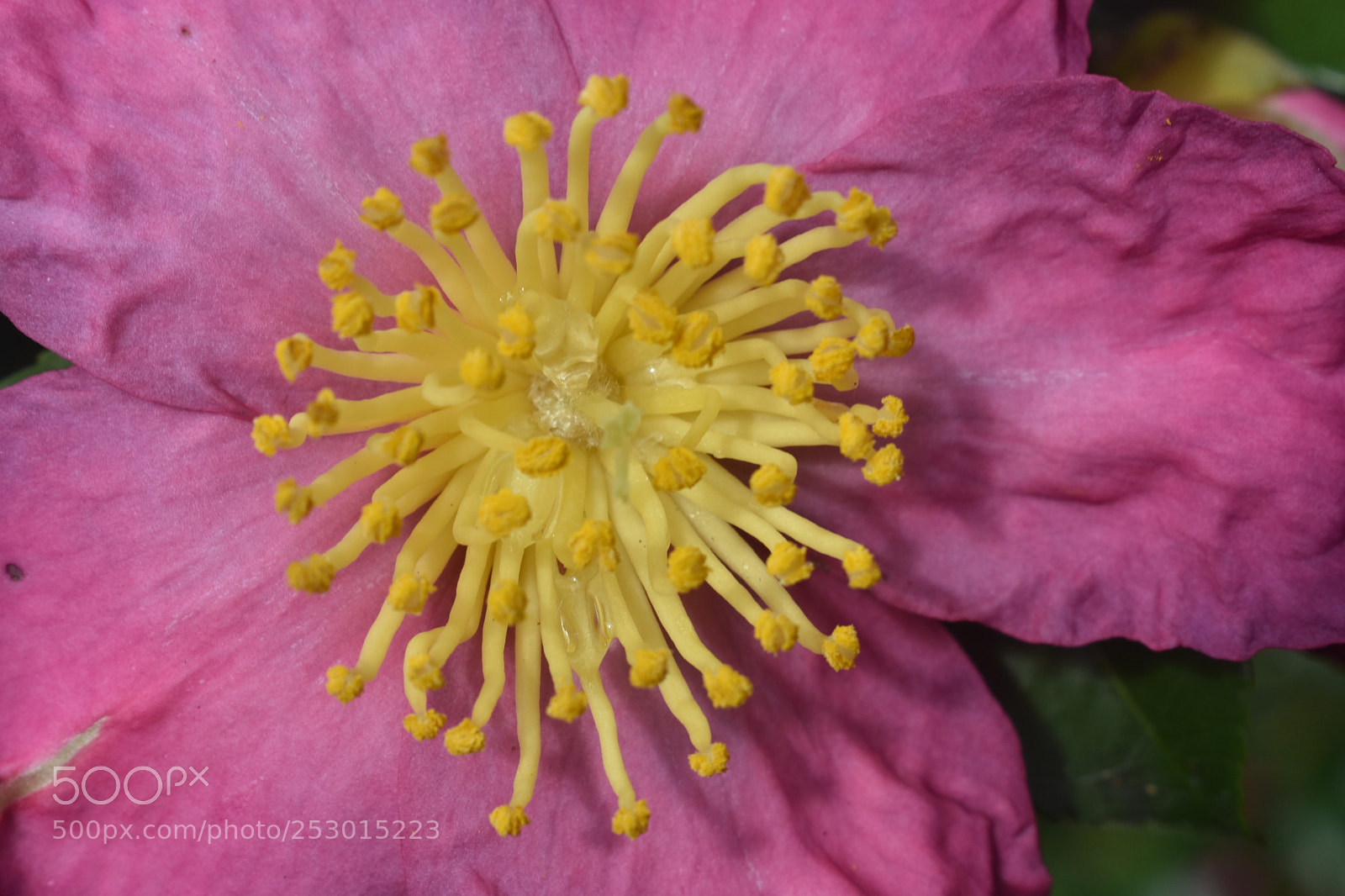 Nikon D3400 sample photo. Exposed photography
