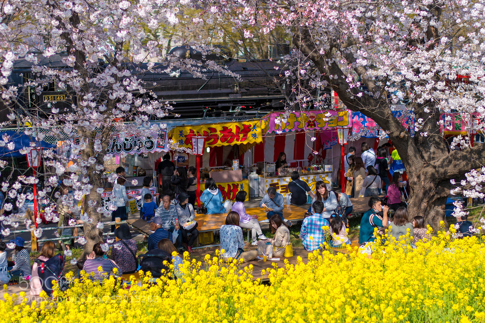 Nikon D7500 sample photo. Stalls at a festival photography