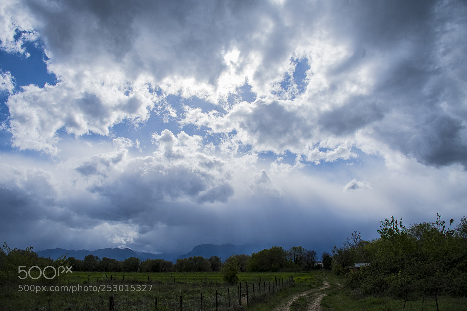 Nikon D7500 sample photo. Rays of light photography