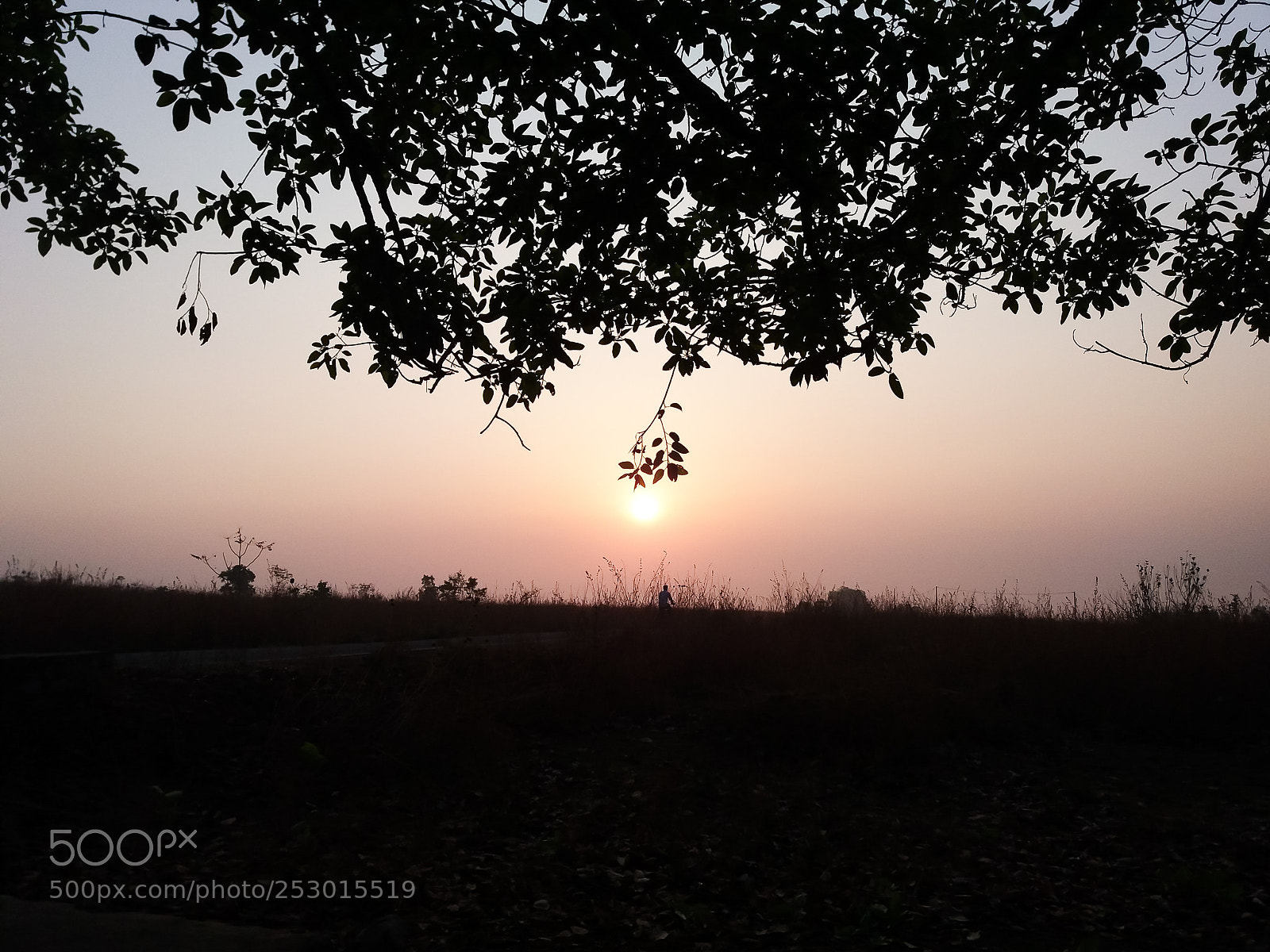 Samsung Galaxy J5 sample photo. Beautiful sunrise morning photography