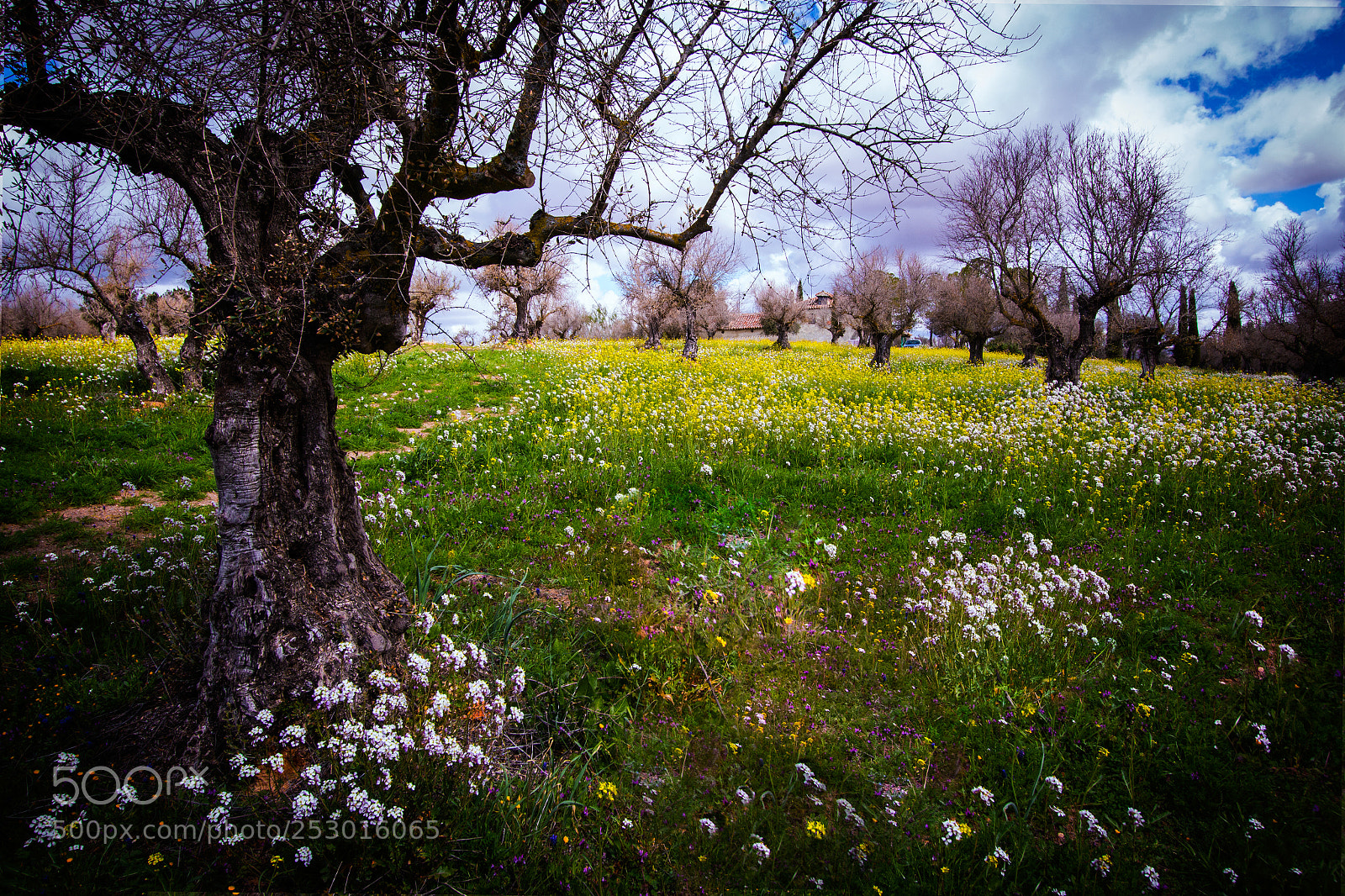Canon EOS 70D sample photo. Paisaje primaveral ii photography