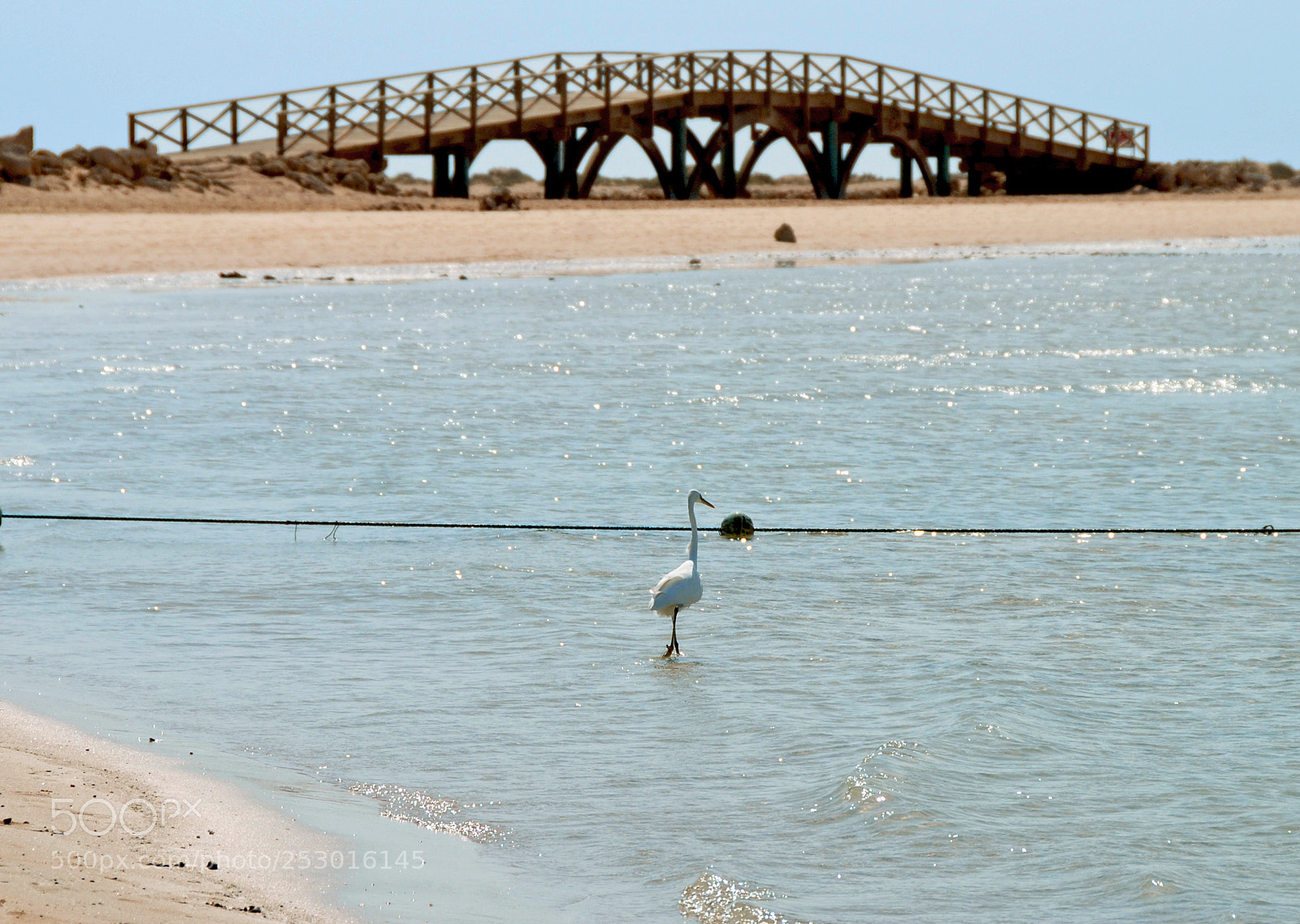 Nikon D80 sample photo. Soma bay. photography