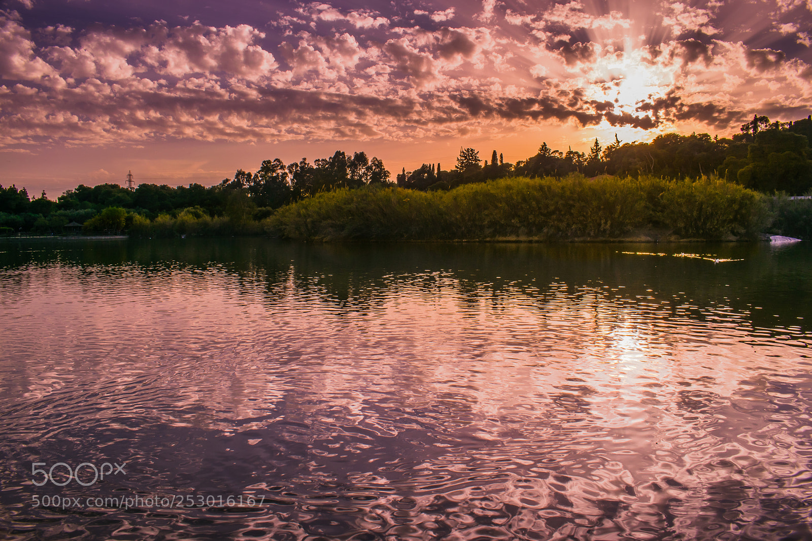 Nikon D3300 sample photo. Lake sunset photography