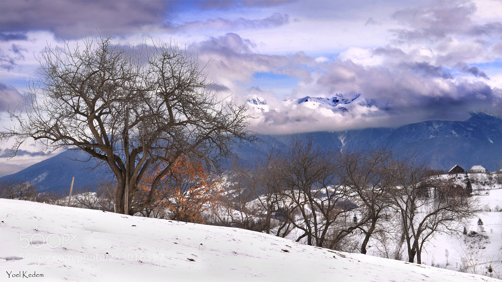 Nikon D800 sample photo. Snow in the karpaty photography