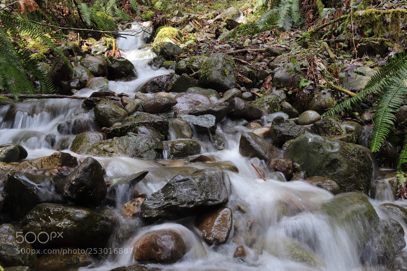 Canon EOS 200D (EOS Rebel SL2 / EOS Kiss X9) sample photo. Rhythm of water photography