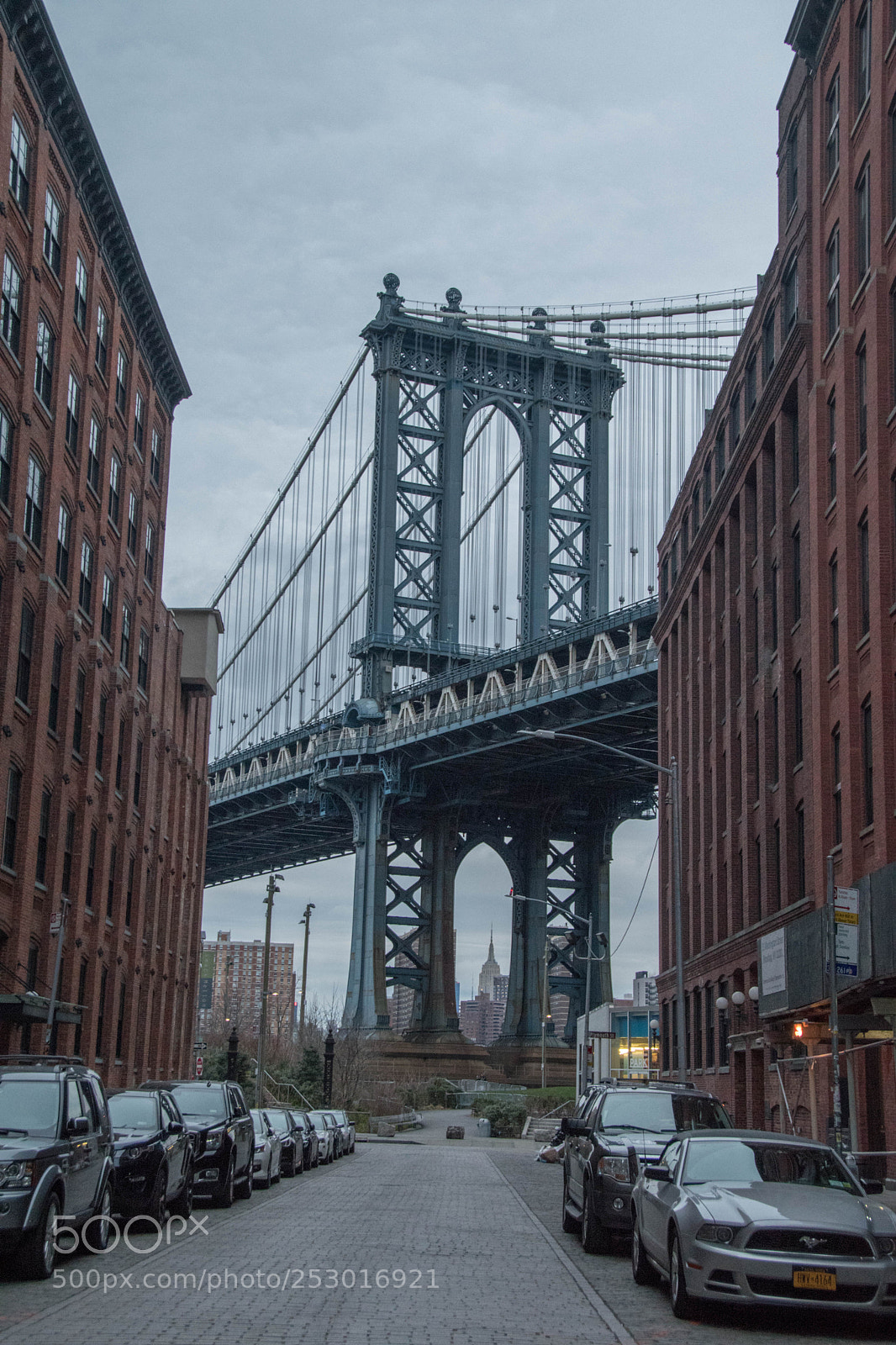 Nikon D5500 sample photo. Dumbo photography