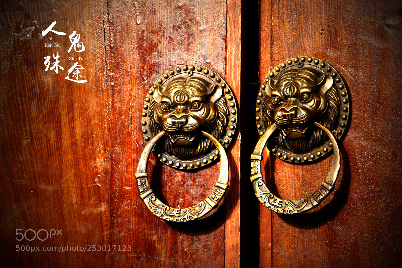 Sony Alpha NEX-7 sample photo. Untitled photography