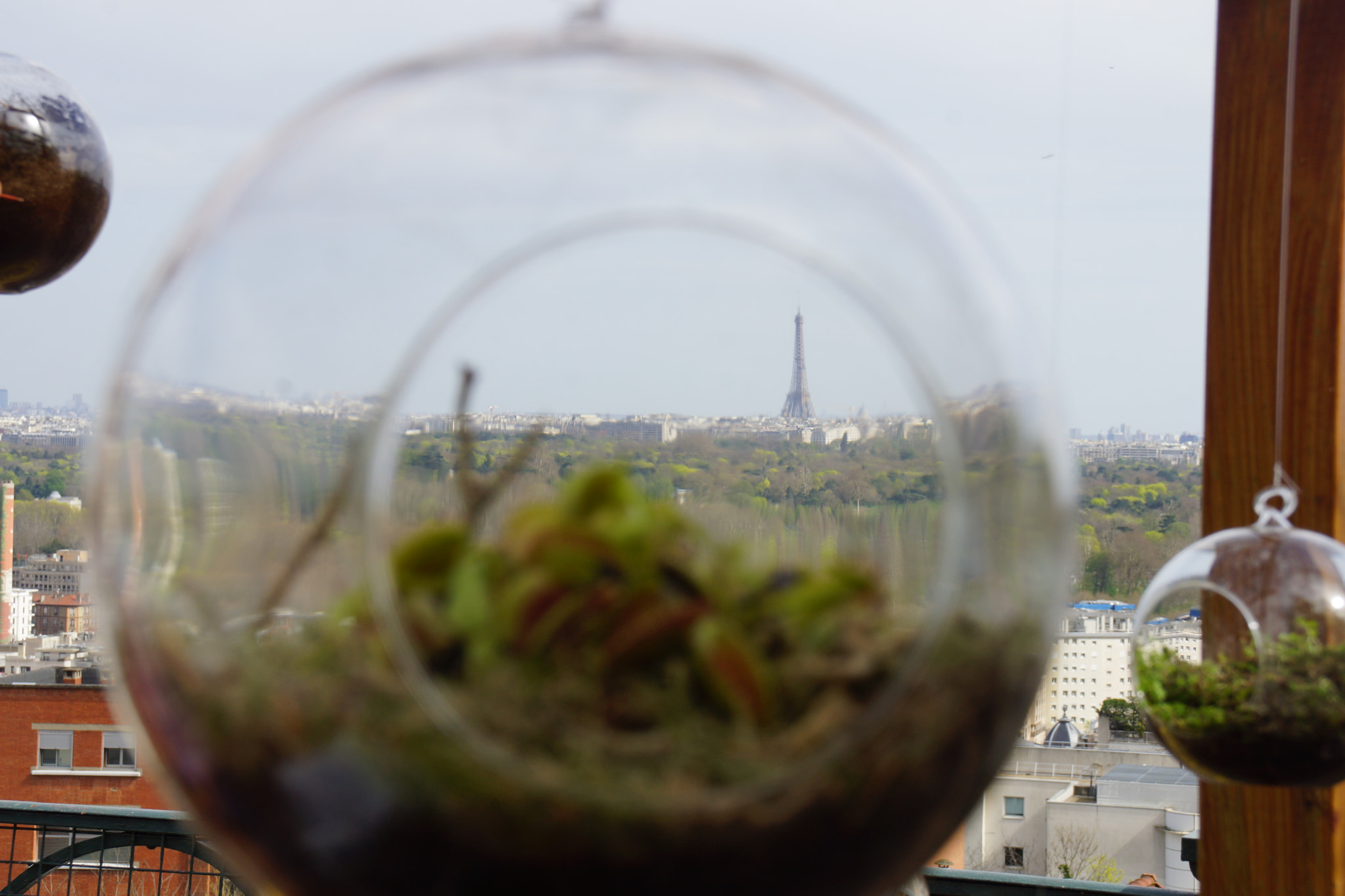 Sony DT 18-200mm F3.5-6.3 sample photo. And the eiffel toner... photography