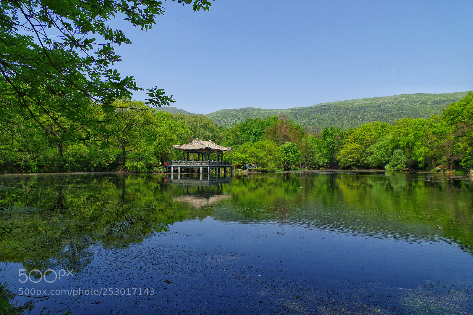 Pentax K-3 II sample photo. Untitled photography