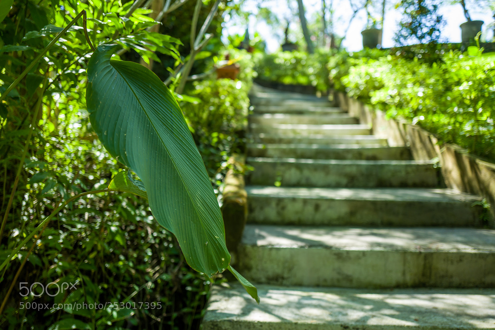 Leica Q (Typ 116) sample photo. A garden in the photography