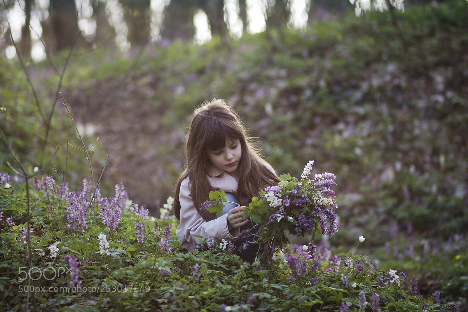 Canon EOS 750D (EOS Rebel T6i / EOS Kiss X8i) sample photo. Sunlit flowers photography