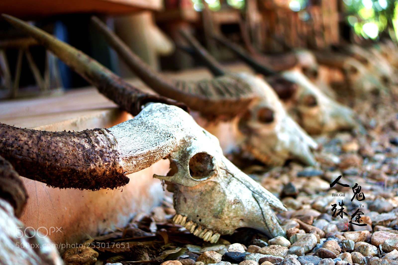 Sony Alpha NEX-7 sample photo. Untitled photography