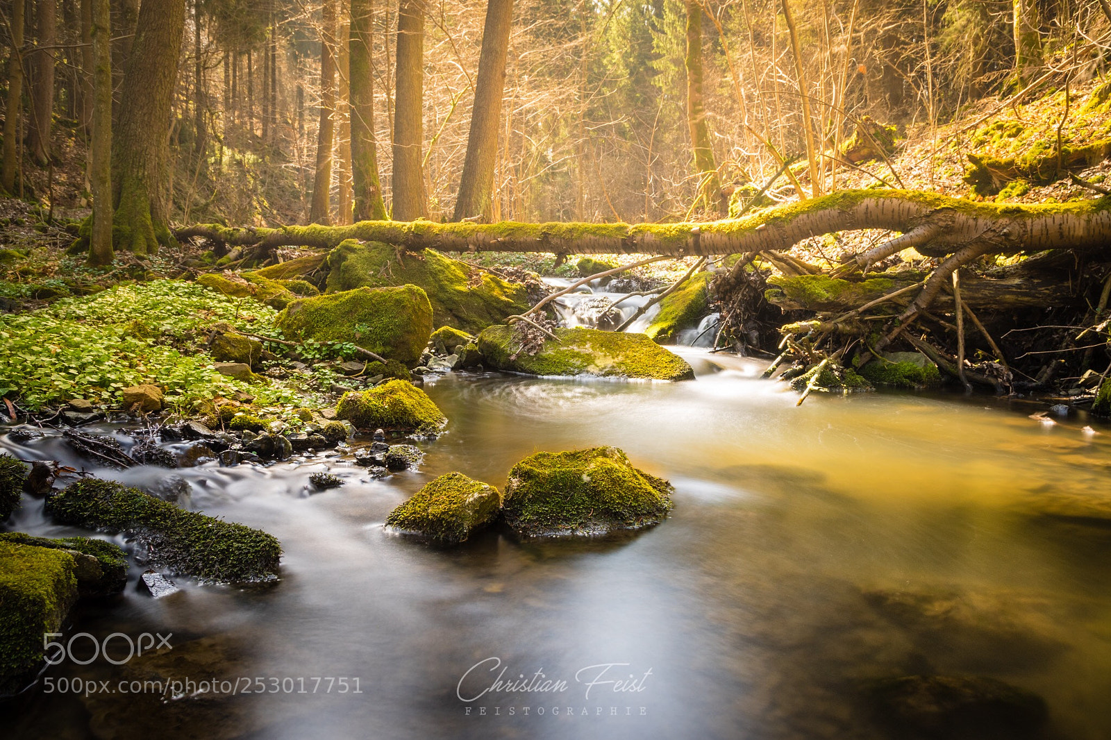 Sony a7 sample photo. Little river under yellow photography