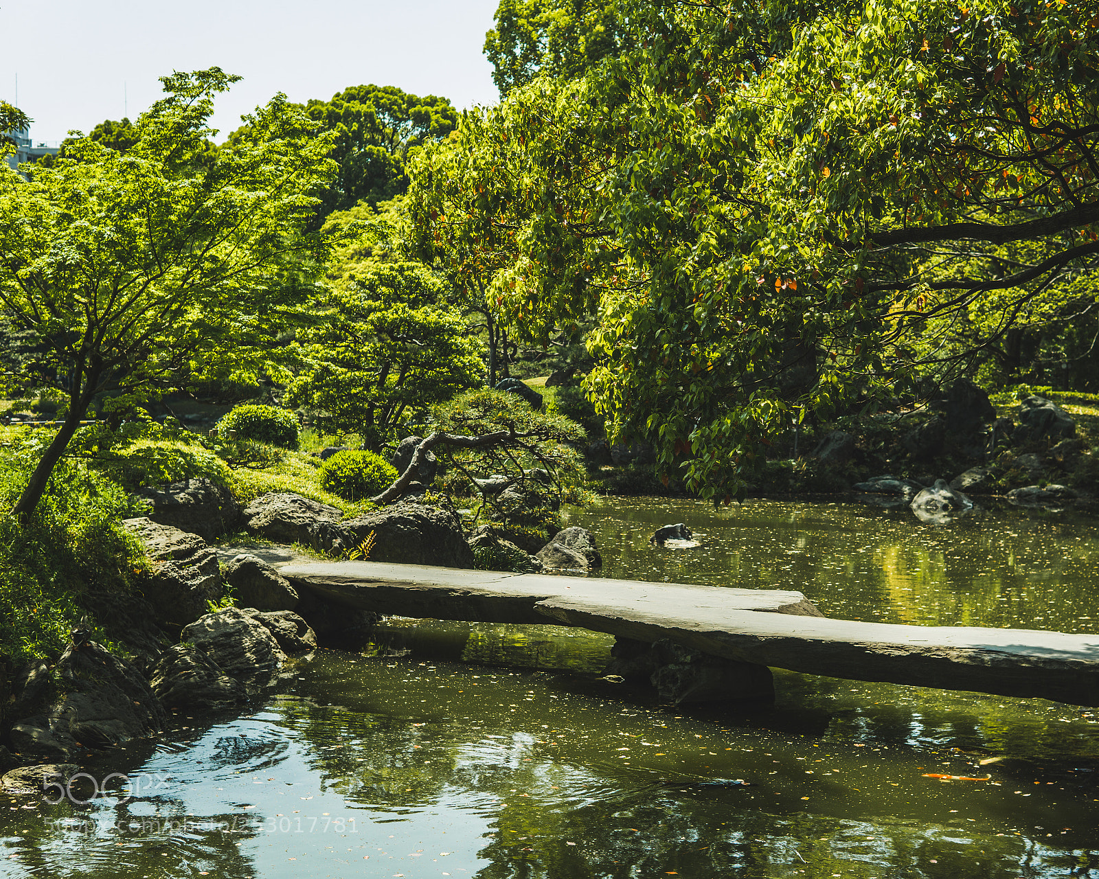 Sony a6000 sample photo. Koi bridge photography