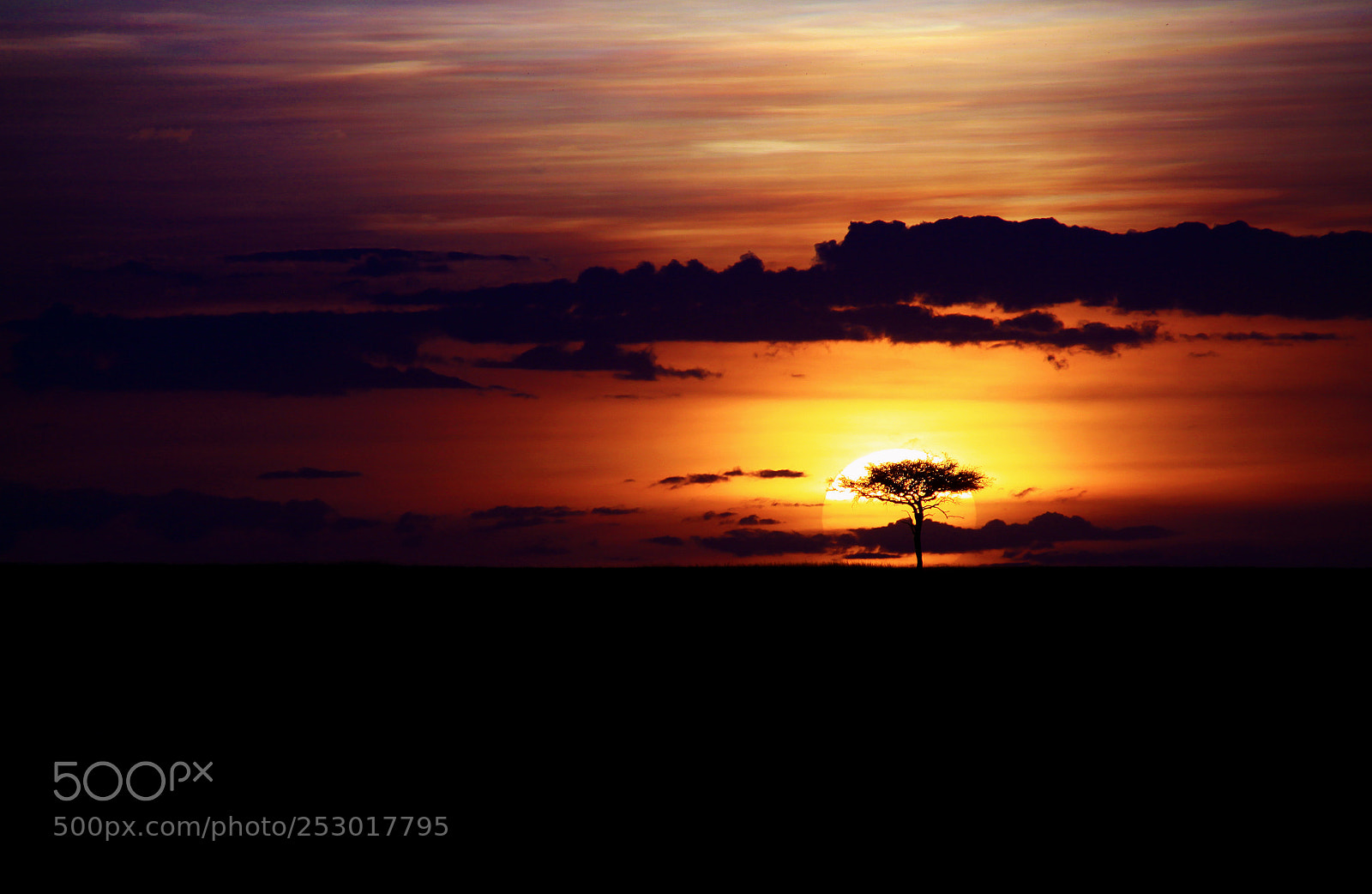 Canon EOS 50D sample photo. Amboseli photography