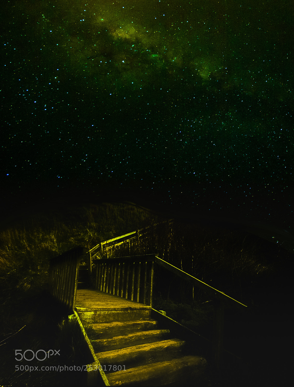 Canon EOS-1D Mark II sample photo. Stairway to heaven. photography