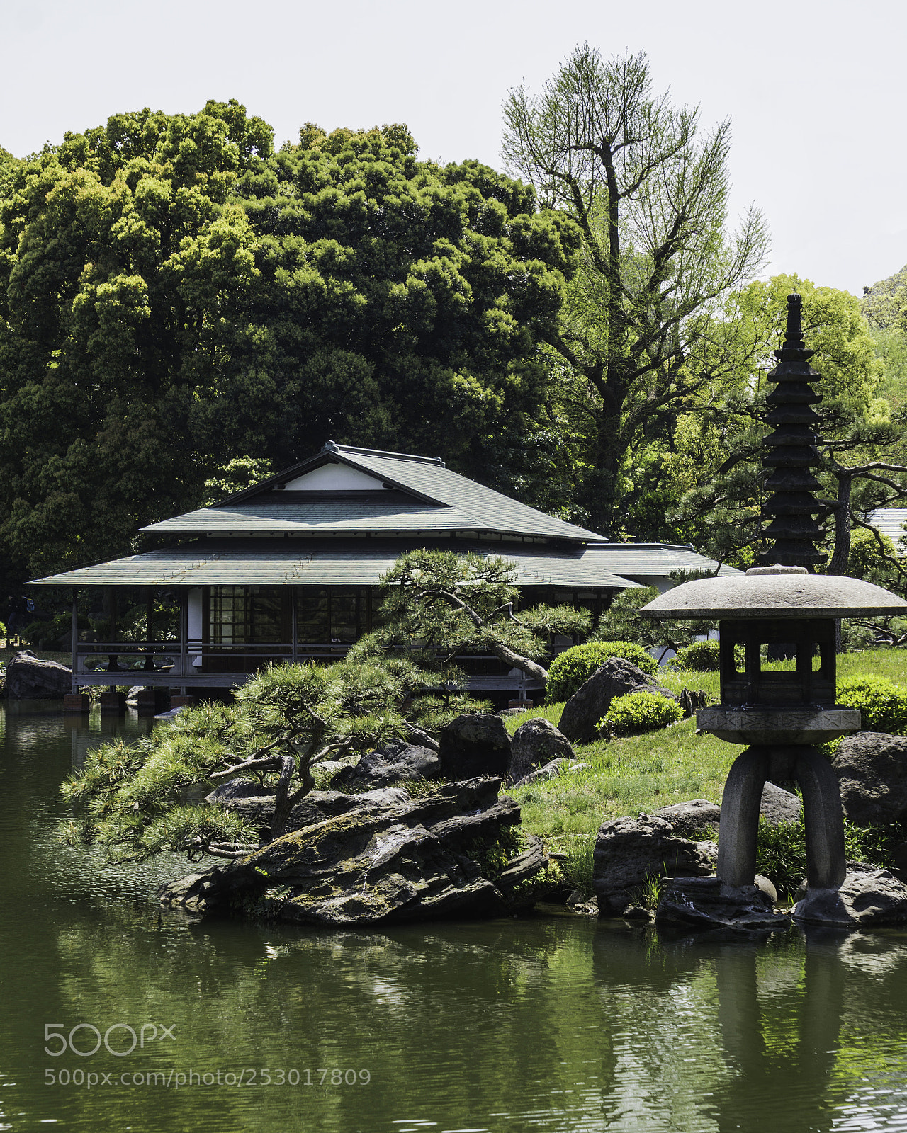 Sony a6000 sample photo. Koi tea house photography