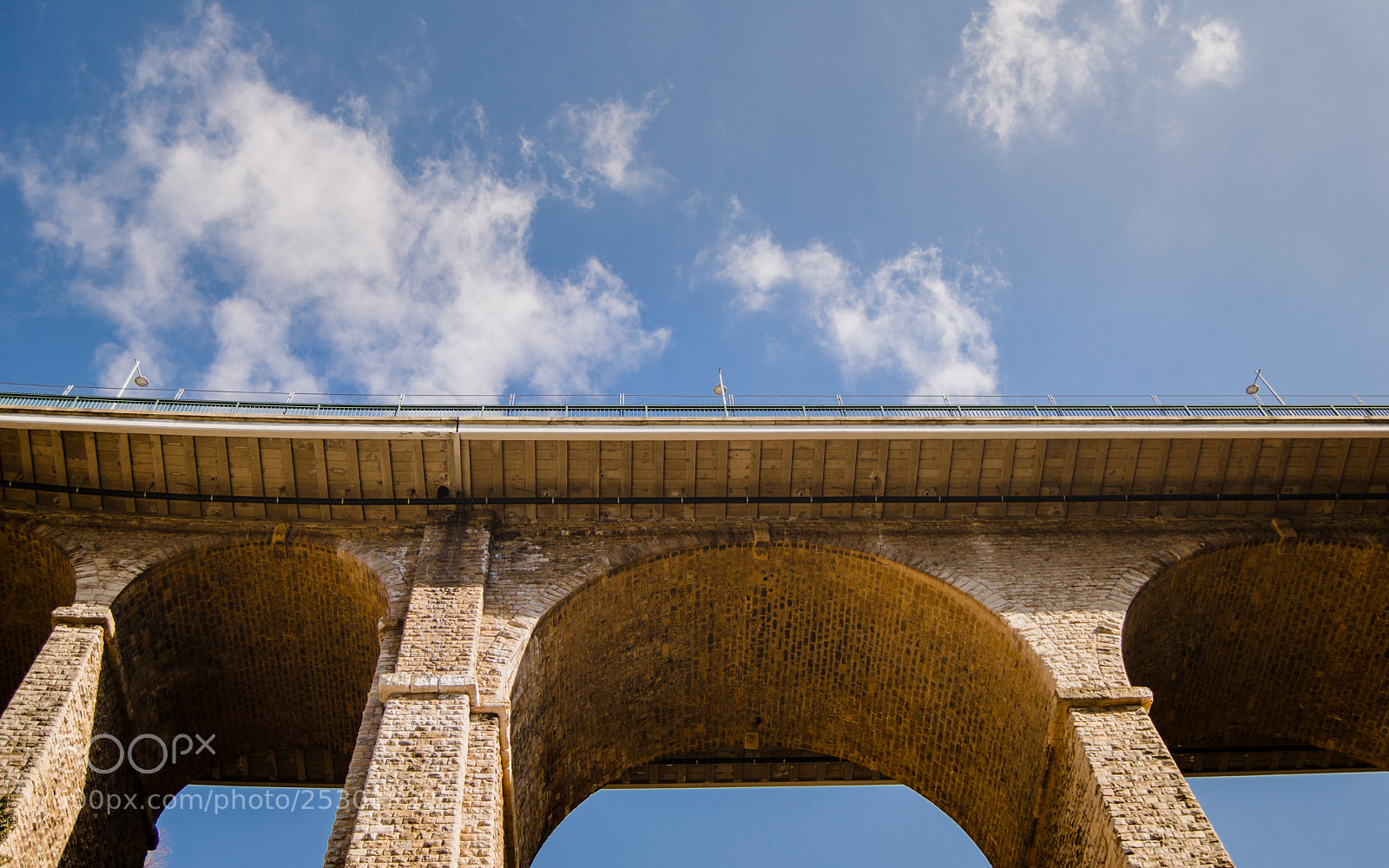 Nikon D3200 sample photo. Levez les yeux! photography