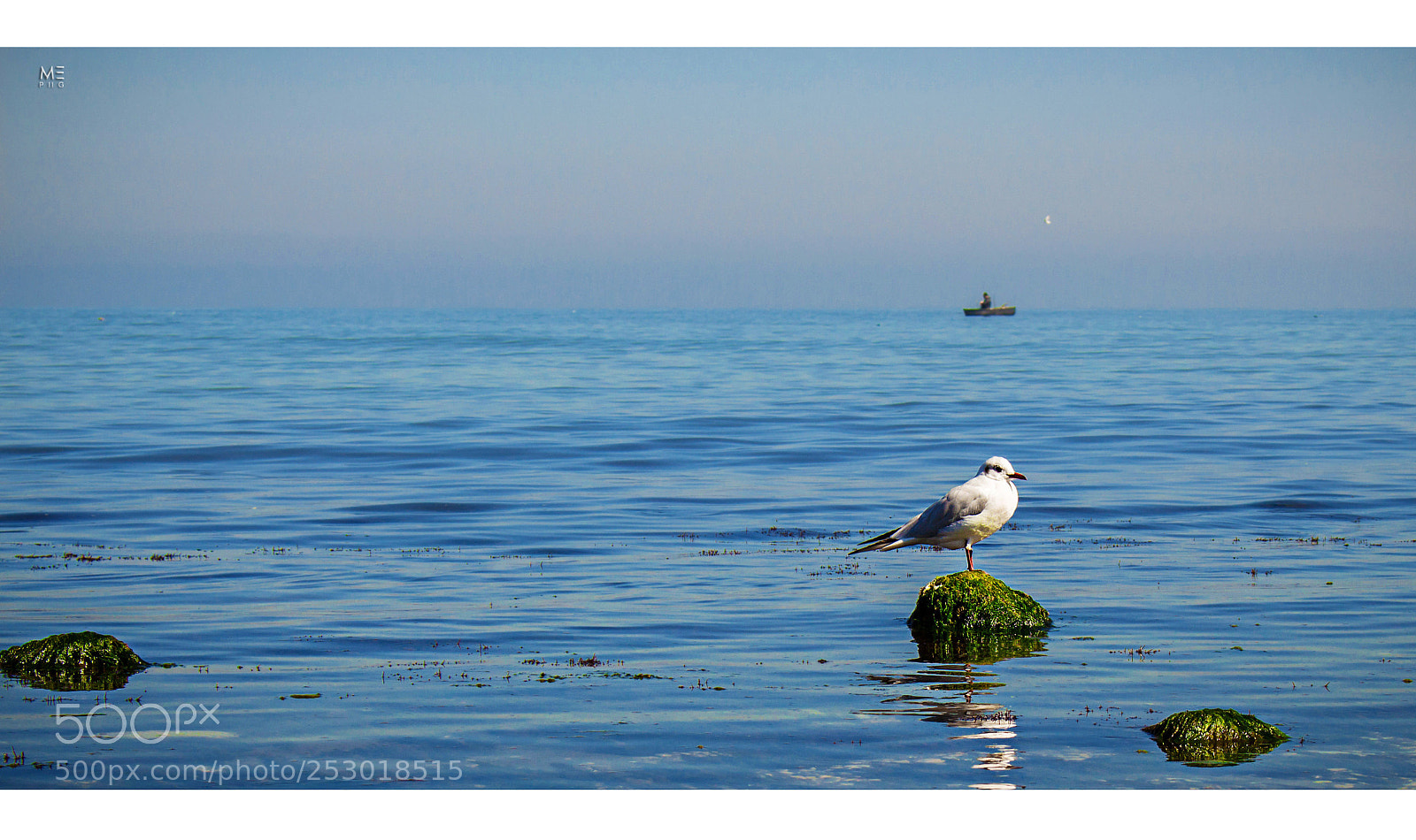 Canon EOS 700D (EOS Rebel T5i / EOS Kiss X7i) sample photo. Iran photography