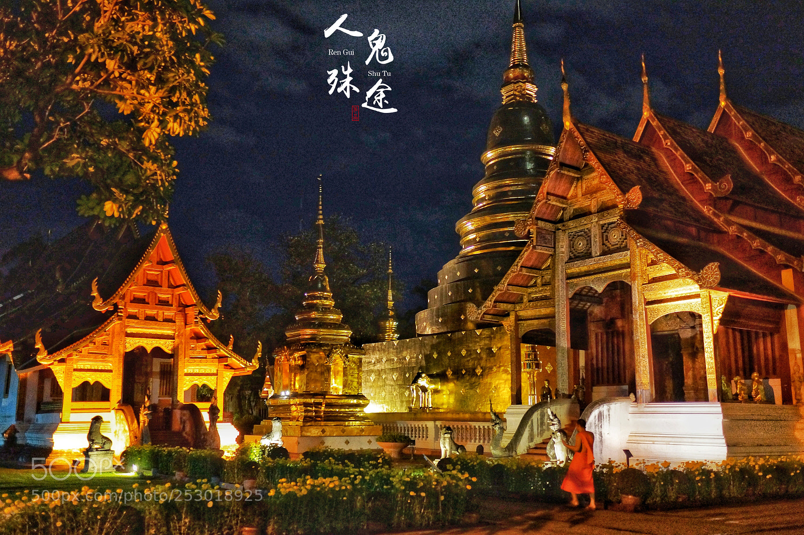 Sony Alpha NEX-7 sample photo. Untitled photography