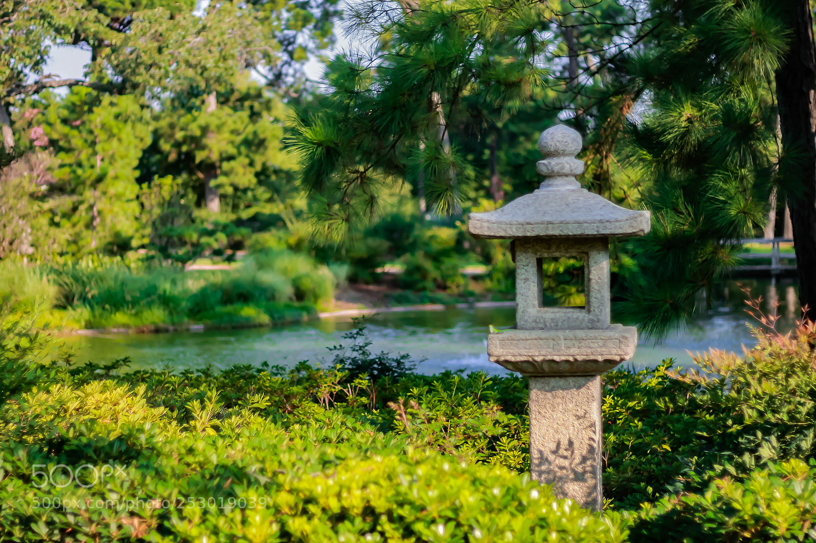 Canon EOS 1100D (EOS Rebel T3 / EOS Kiss X50) sample photo. Serenity photography