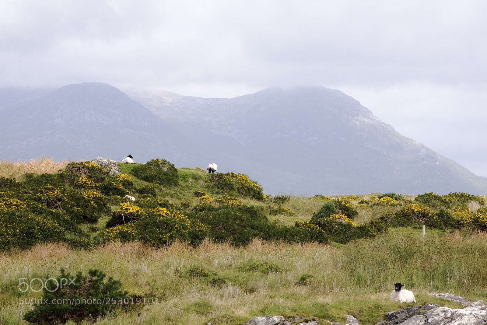 Nikon D600 sample photo. Relaxing spot! (1) photography