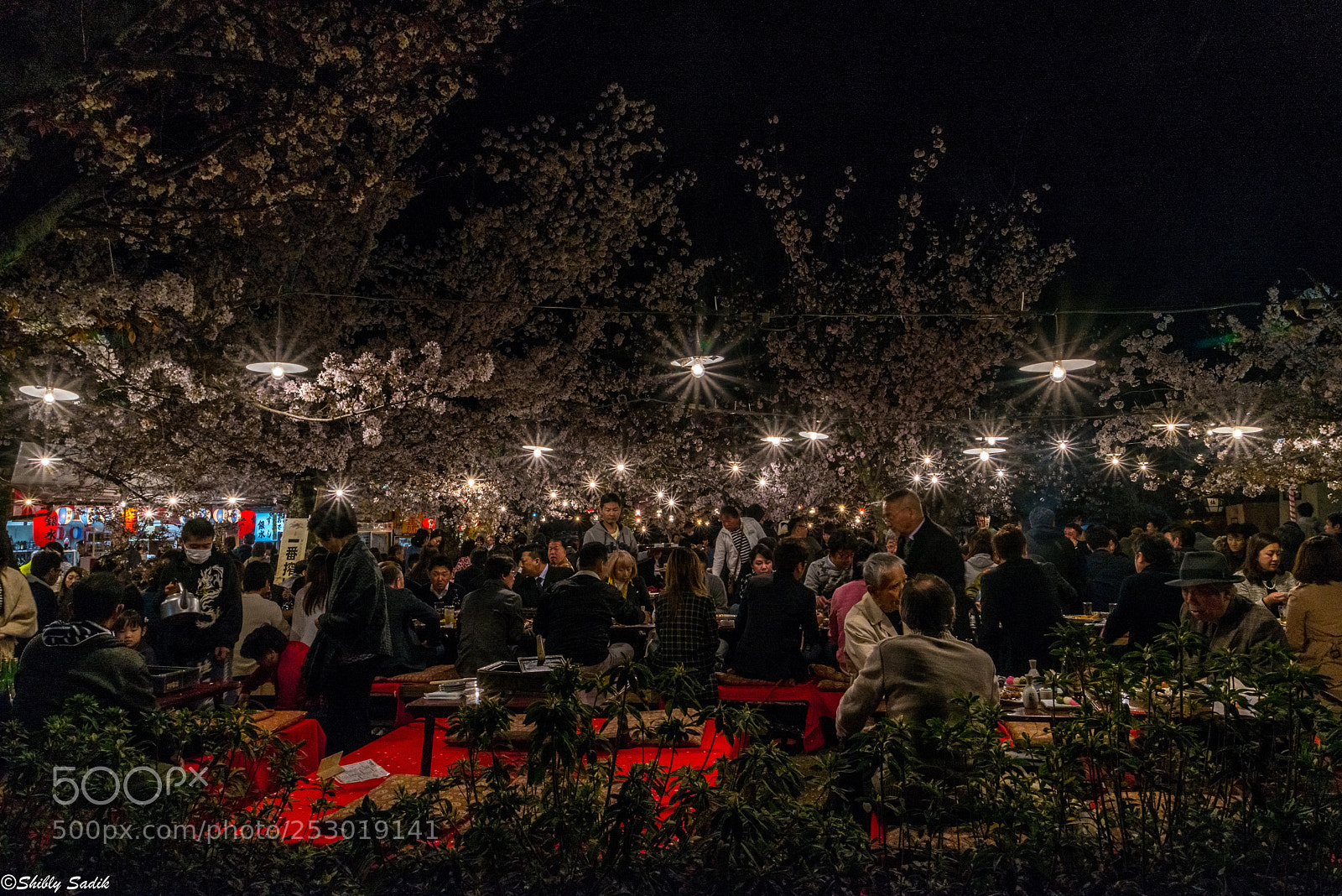 Nikon D610 sample photo. Celebration with nature photography