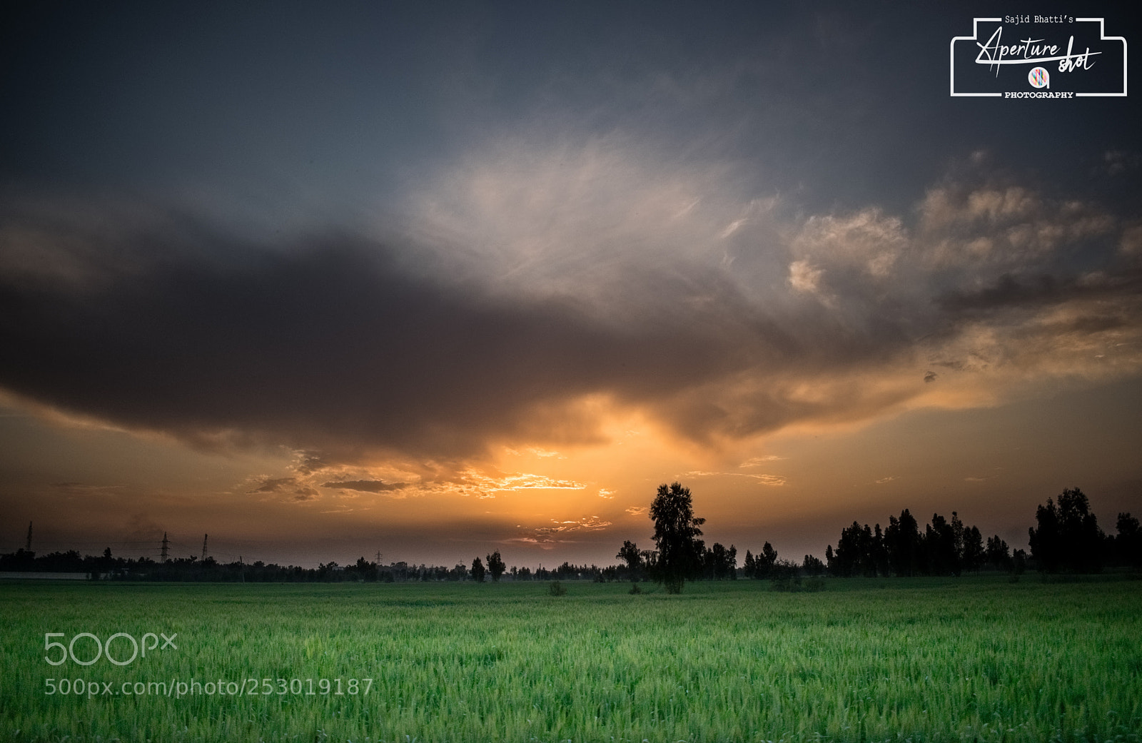 Nikon D5300 sample photo. Colors of sky photography