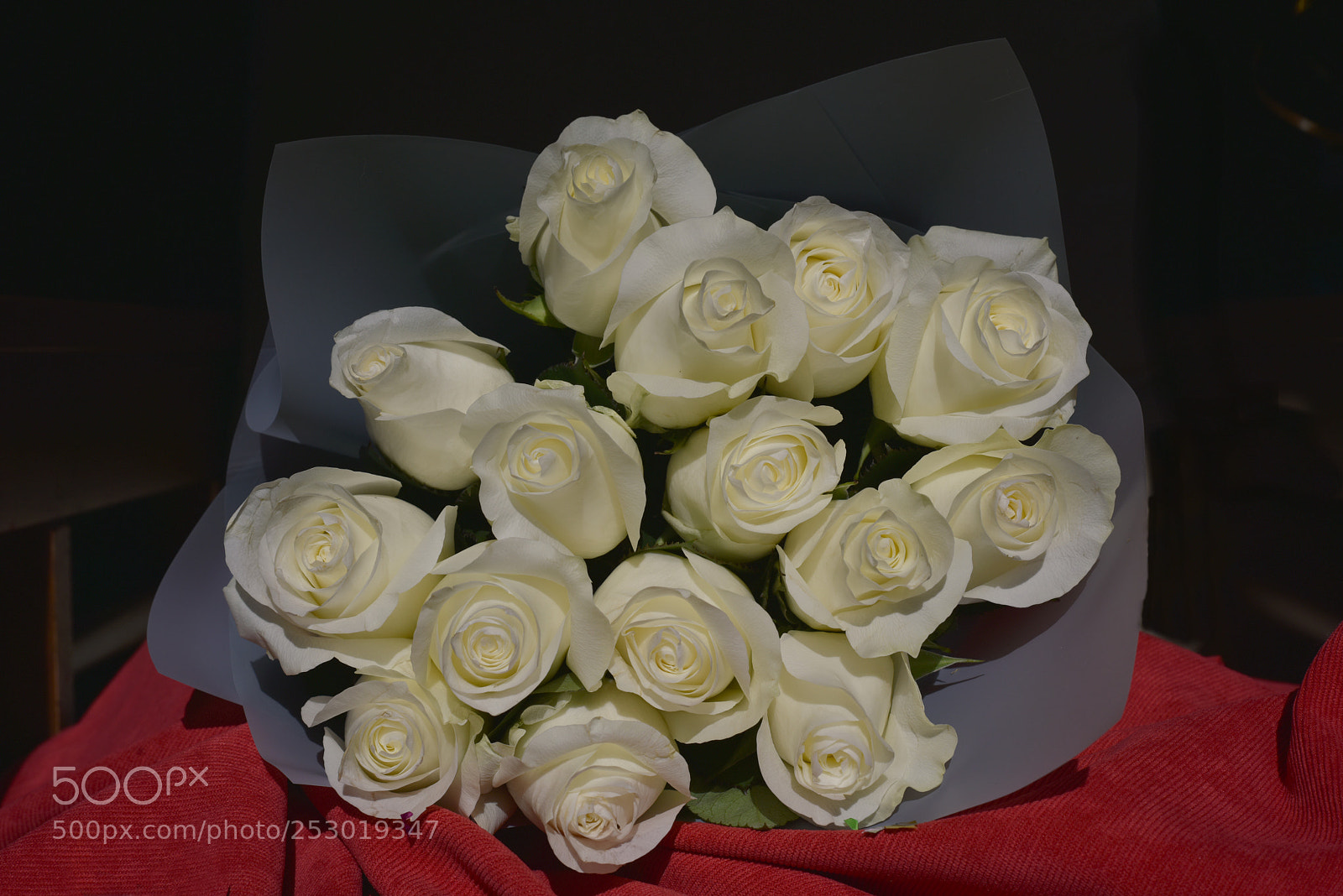 Nikon D810 sample photo. White heart! photography