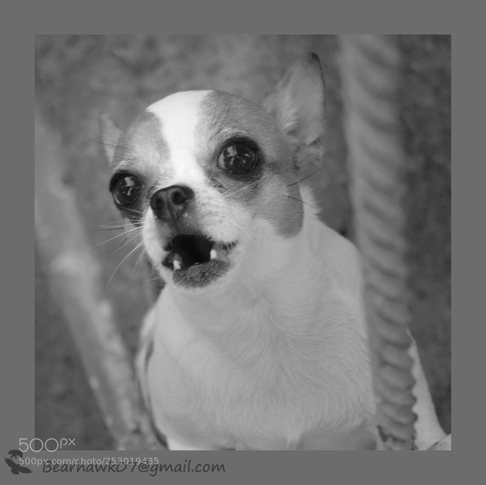 Nikon D7200 sample photo. Copy photography
