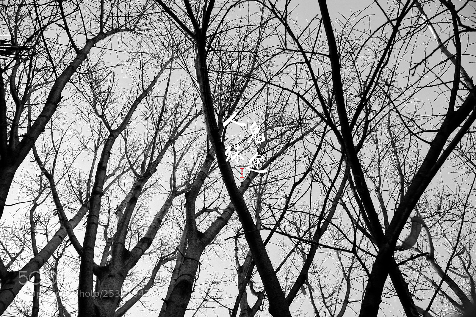 Sony Alpha NEX-7 sample photo. Untitled photography