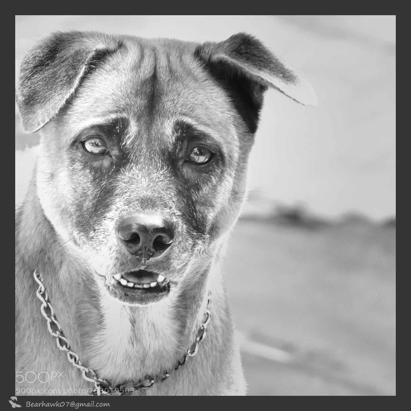 Nikon D7200 sample photo. Copy photography