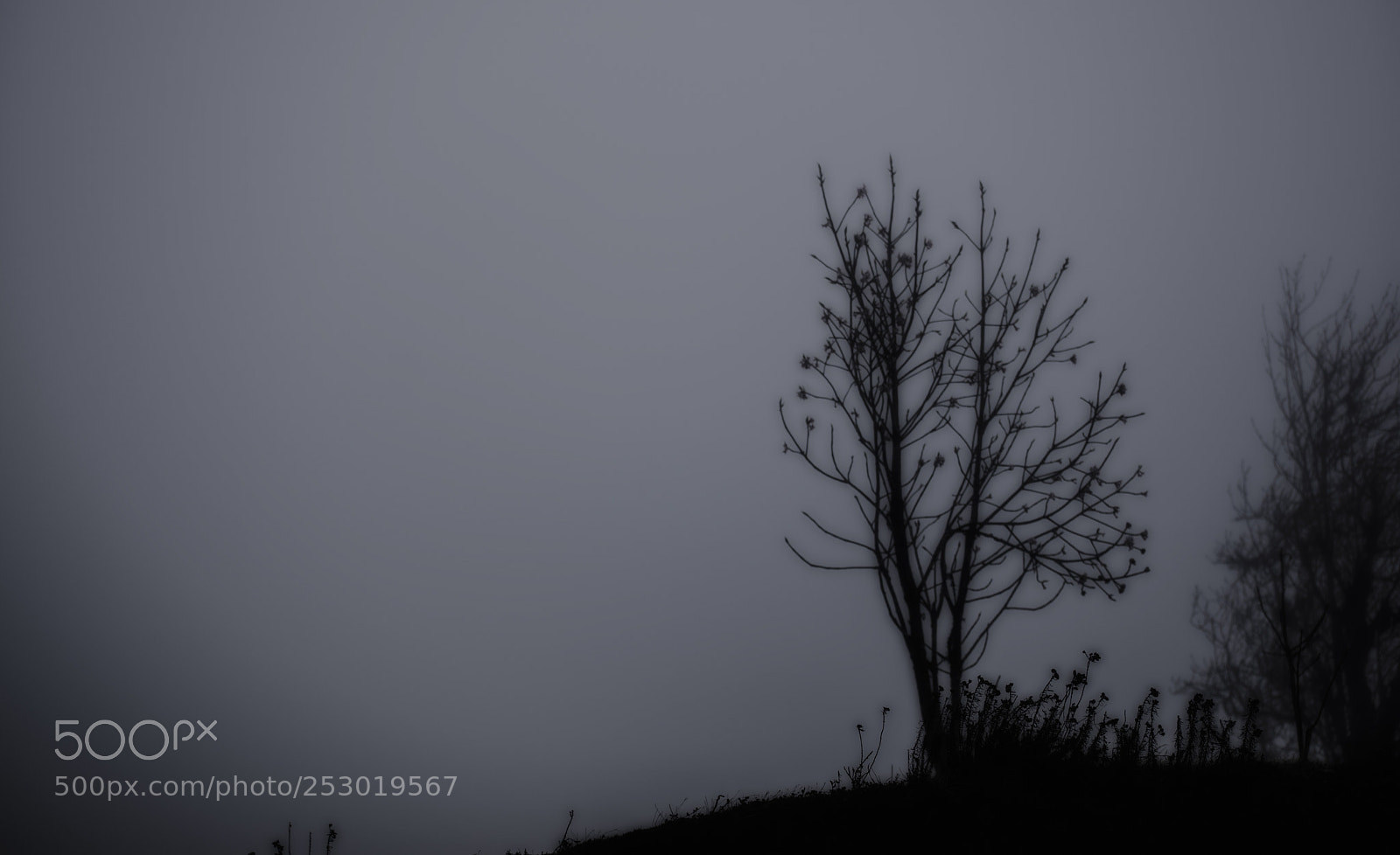 Nikon D3300 sample photo. Solitude photography