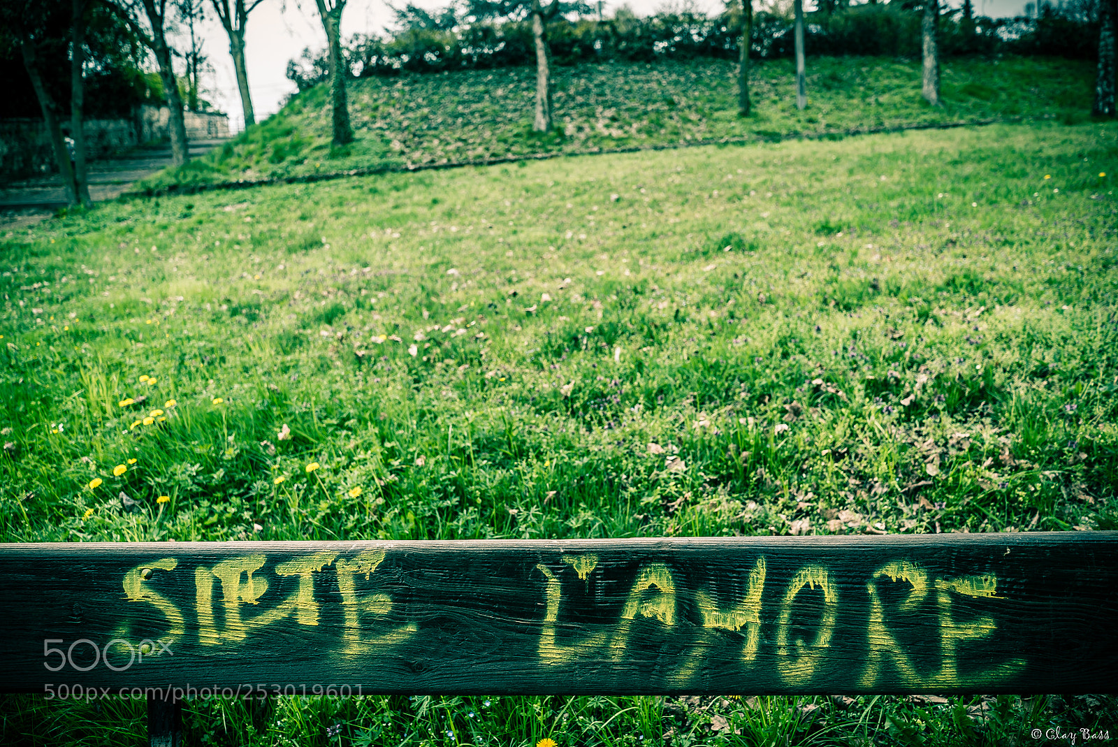 Sony a7S II sample photo. Siete l'amore photography